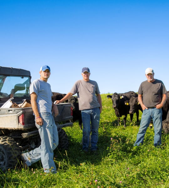 Three men stanidng by a UTV in field with black cows.