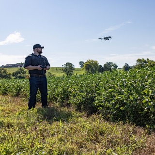 Farmer flies drone over soybean field