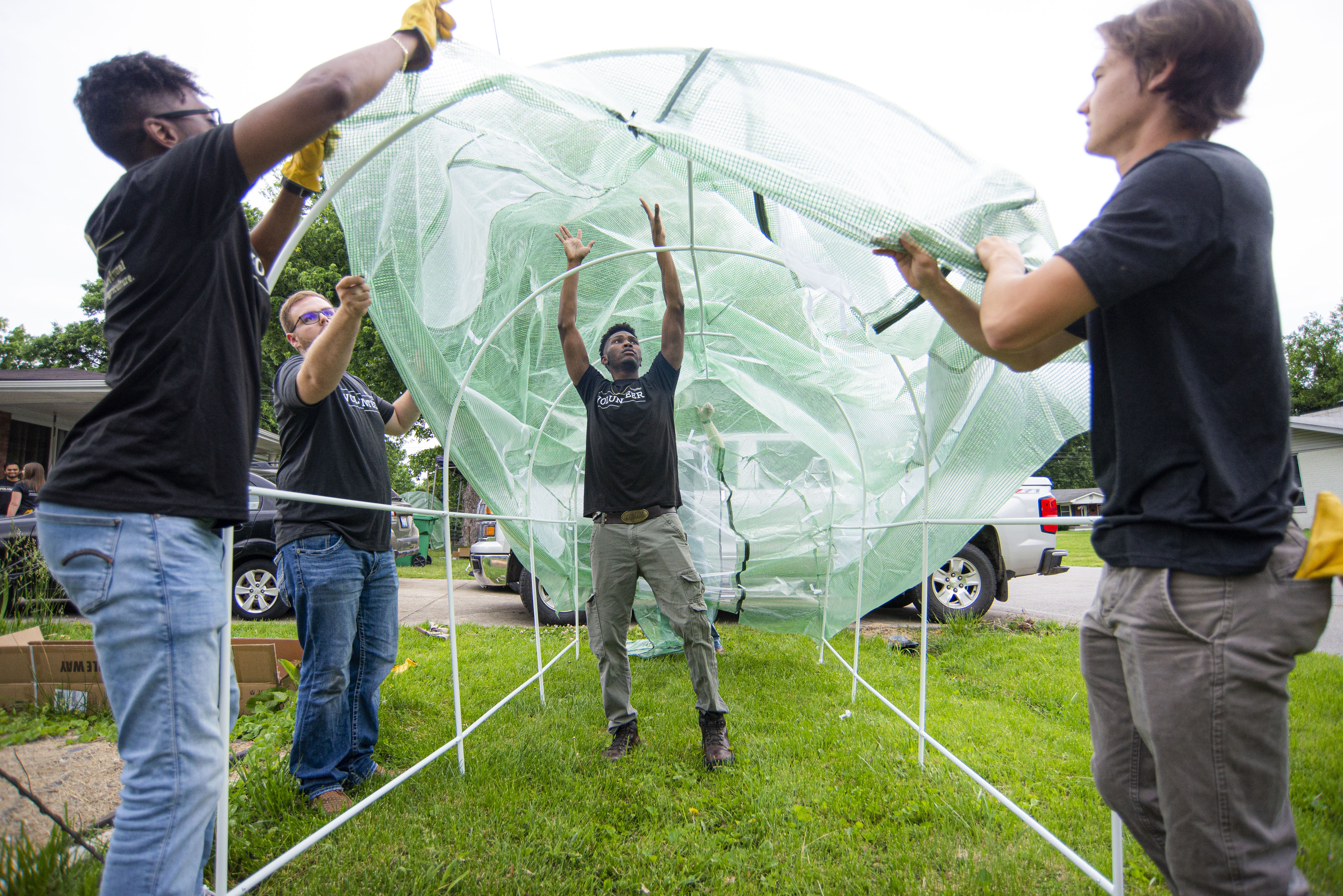 Team putting netting on greenhouse