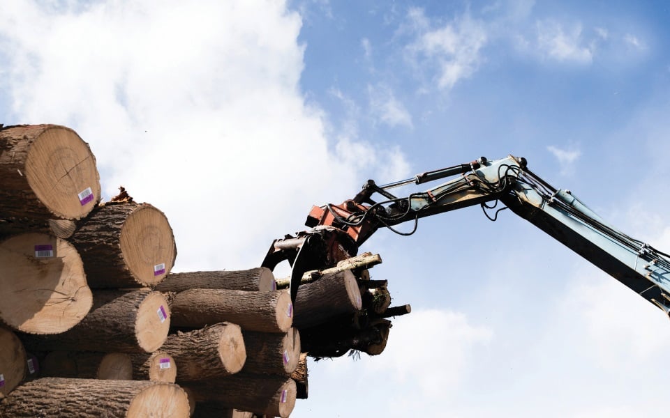 Crane grabs hardwood logs.