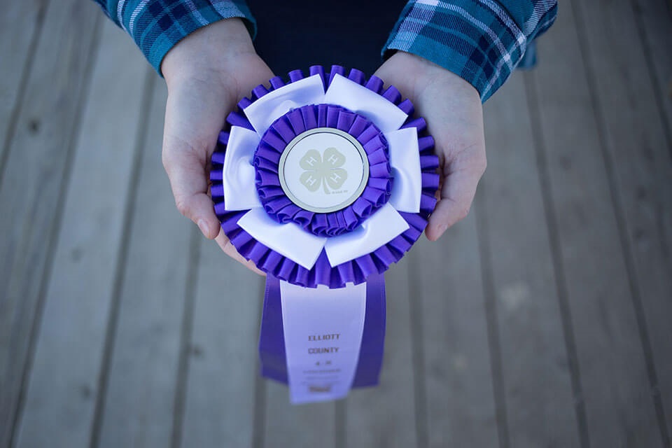 Close-up of a 4-H ribbon for Elliott County