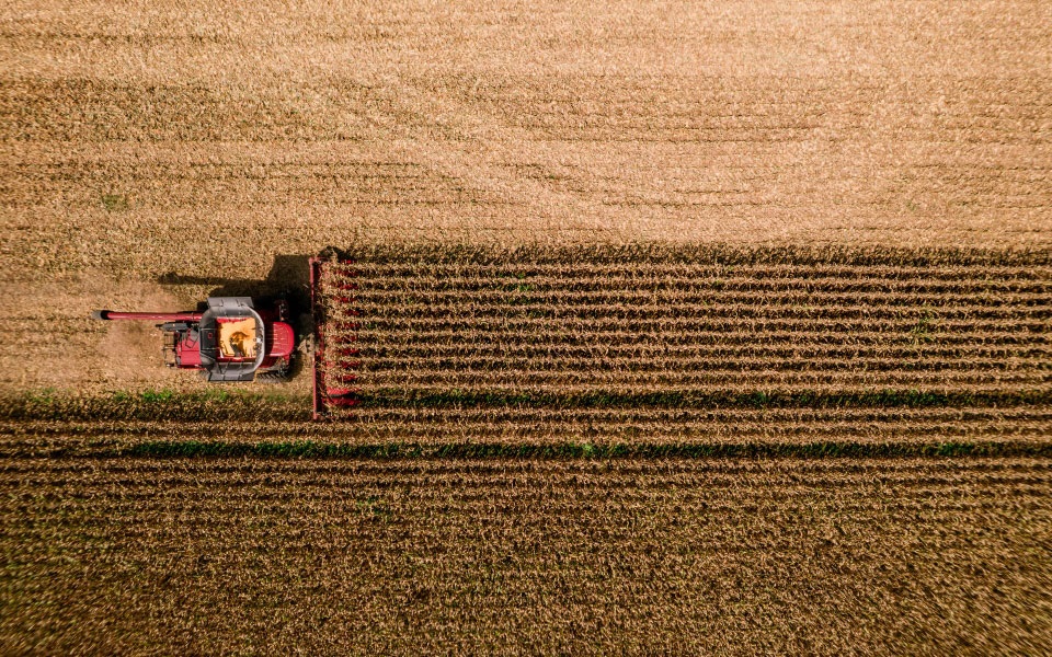 Combine harvest grain that will be marketed using these strategies