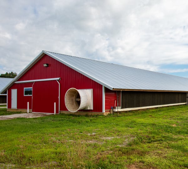 Modern red poultry barn facility financed for contract grower operation