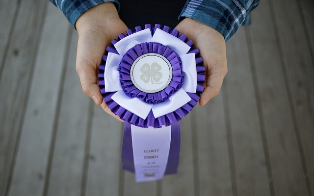 4-H show ribbon