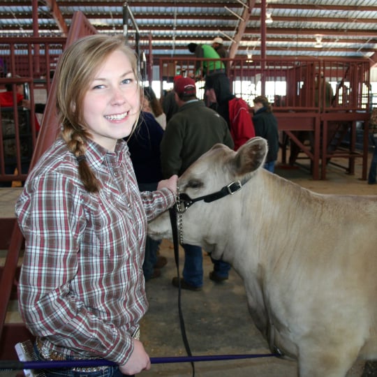Girl standing with a heifer.