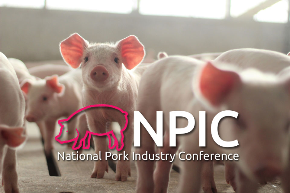 weanling piglets with NPIC logo