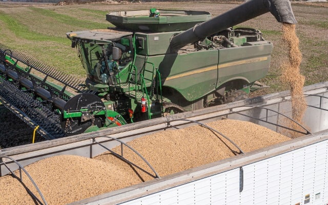 Combine empties soybeans into a semi trailer.