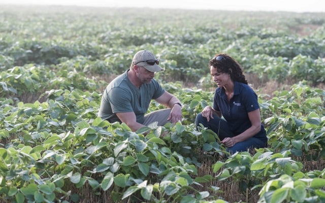Man and woman kneel in green soybean field.