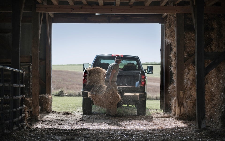 Man puts hay bales in the back of a truck.