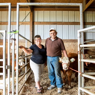 Couple stands with show heifer in barn