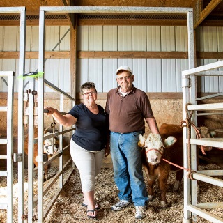 Couple stands with show heifer in barn