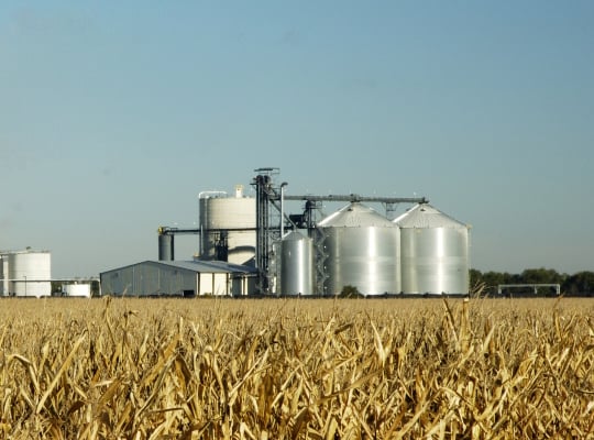 Grain processing plant