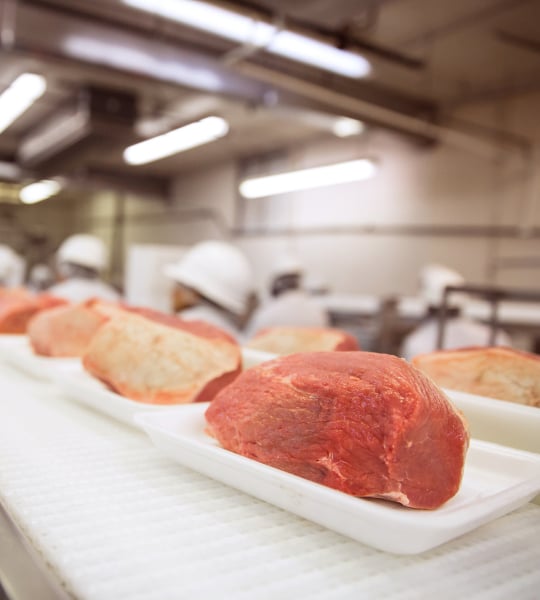 Meat processing line