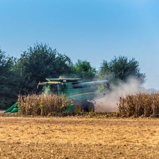 Combine harvesting corn field.
