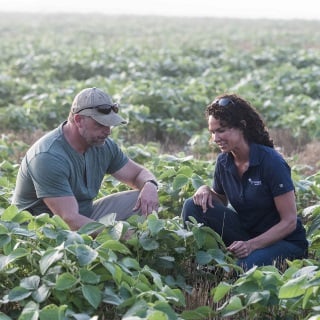 Man and woman kneel in soybean field.