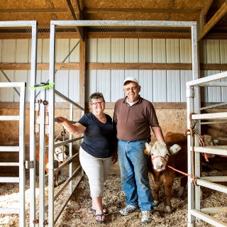 Couple stands with show heifer in barn.
