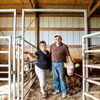 Couple standing in barn with show heifer
